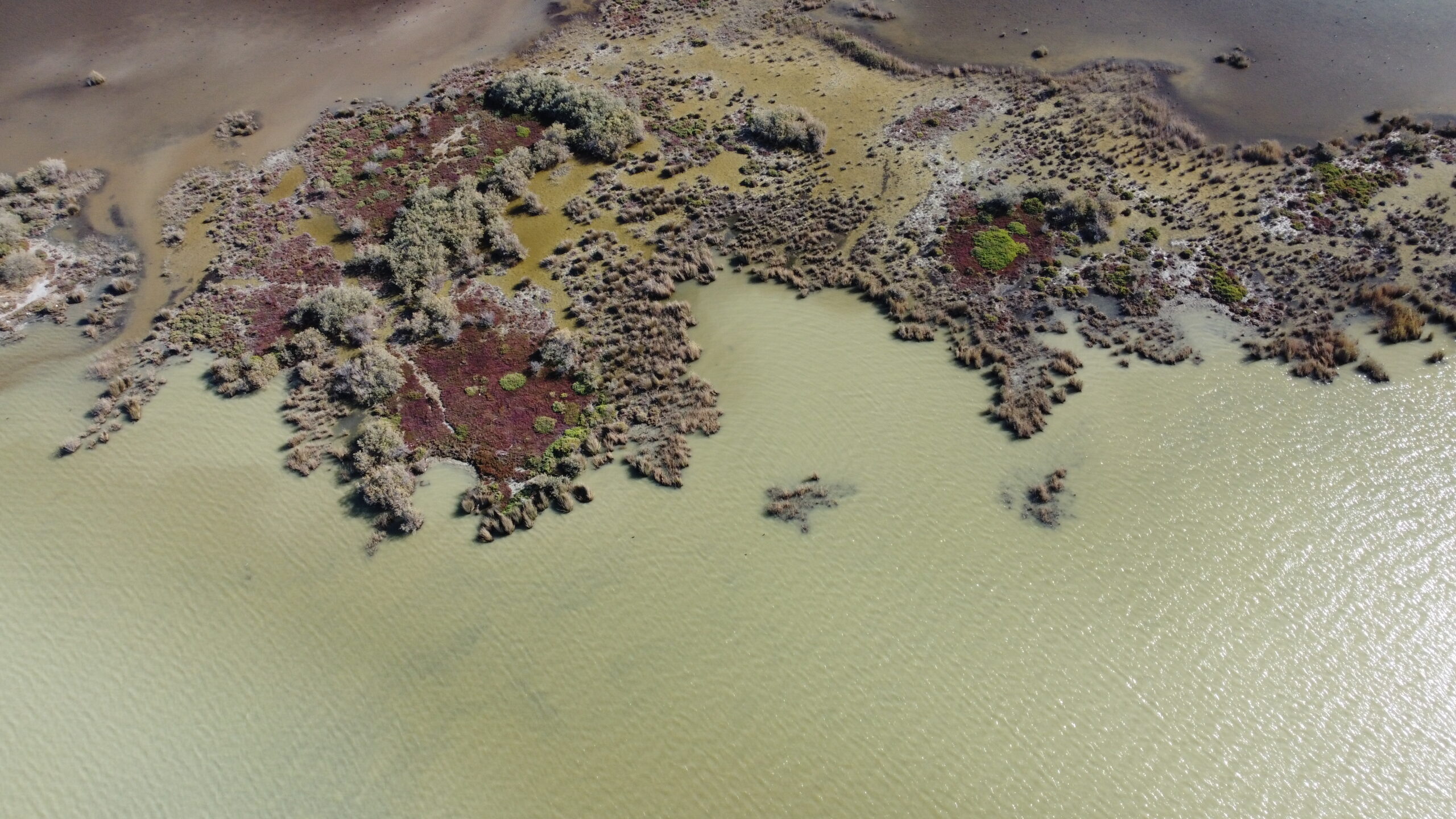 goksu-deltasi.JPG A drone photo from Göksü Delta by Dr. Korhan Özkan